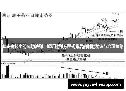 搏击竞技中的成功法则：解析胜利方程式背后的制胜秘诀与心理策略